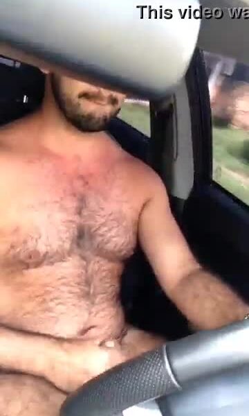 hot bear masturbating while driving the car